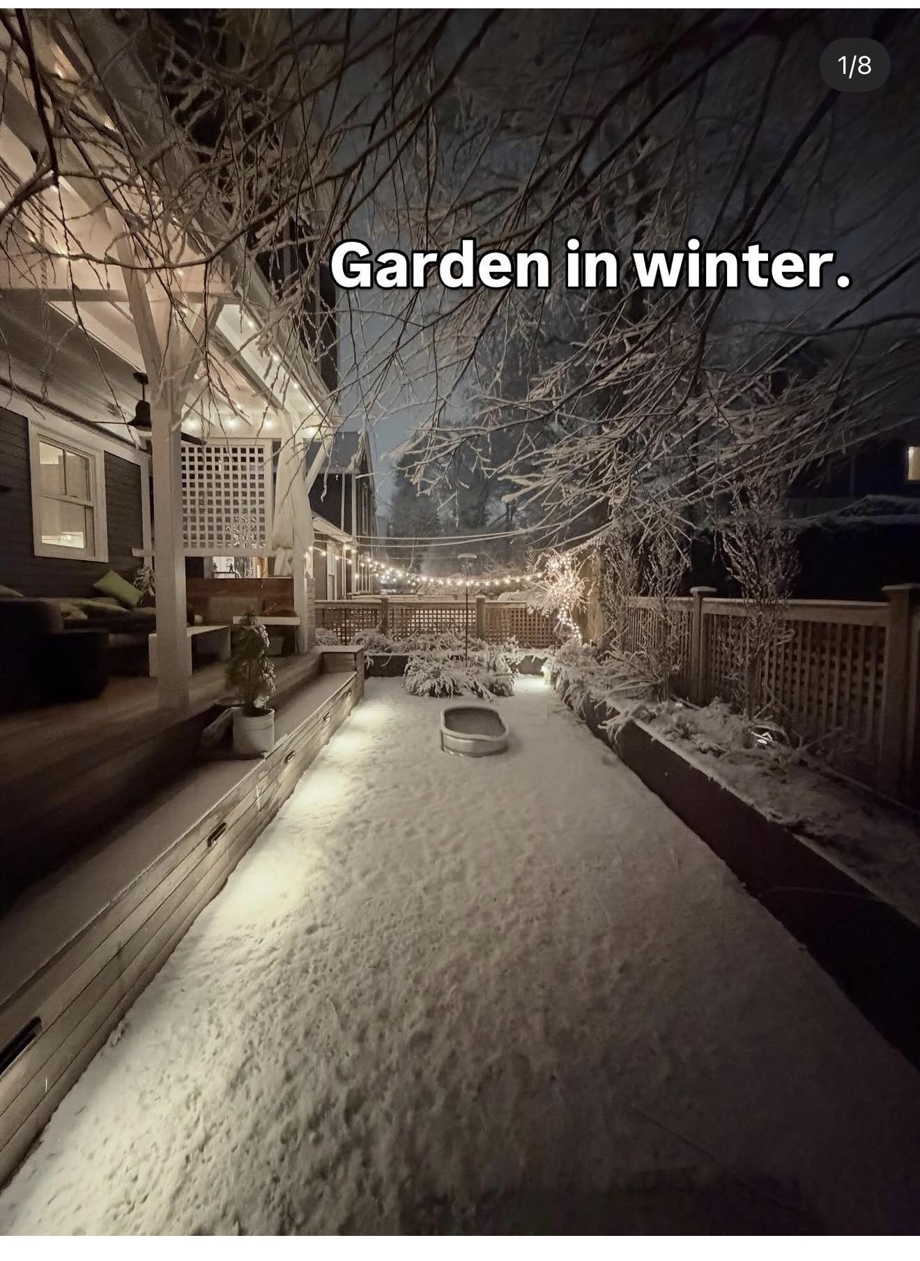 The garden path under snow, string lights lit at night